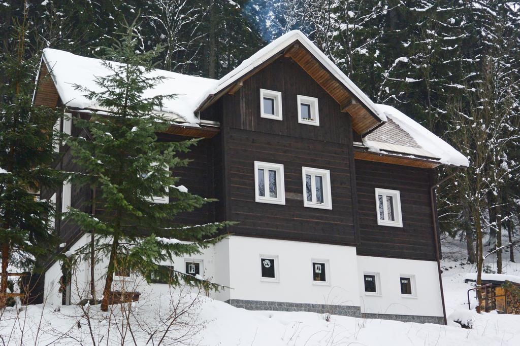 Na Cernem Potoce Villa โรกีนีซ นัด ยีเซอโร ห้อง รูปภาพ